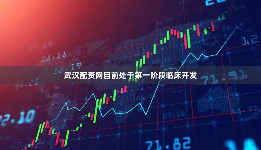 武汉配资网目前处于第一阶段临床开发