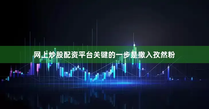 网上炒股配资平台关键的一步是撒入孜然粉