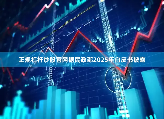 正规杠杆炒股官网据民政部2025年白皮书披露