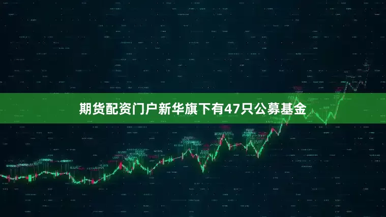 期货配资门户新华旗下有47只公募基金