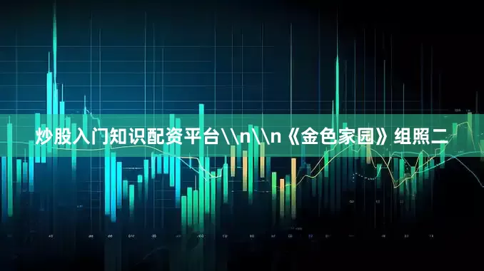 炒股入门知识配资平台\n\n《金色家园》组照二