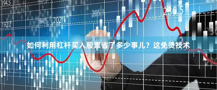 如何利用杠杆买入股票省了多少事儿？这免烫技术